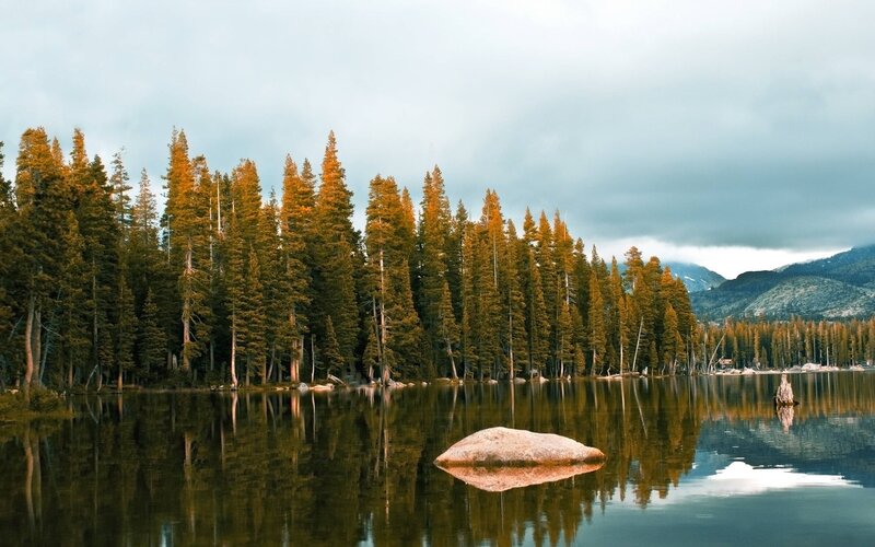 Pine Trees by Lake — Green, Serene, Afternoon, Photograph, Mountains