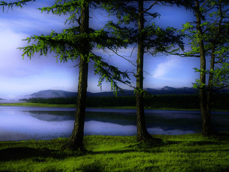 Pine Trees by Lake — Green, Serene, Morning, Photograph, Mountains, Grass