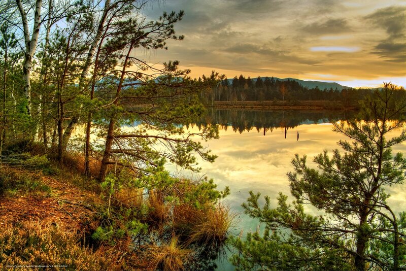 Pine Trees by Lake — Green, Serene, Sunset, Photograph, Mountains, Sky, Yellow, Blue