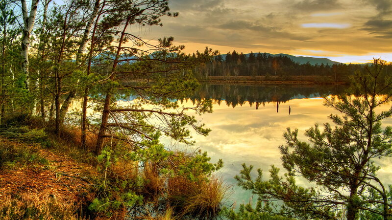 Pine Trees by Lake — Green, Serene, Sunset, Photograph, Mountains