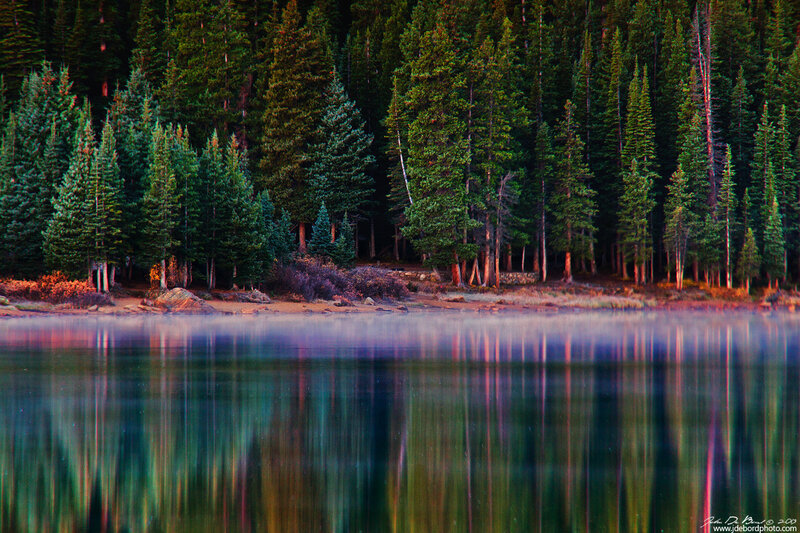 Pine Trees by Lake — Green, Serene, Sunset, Photograph