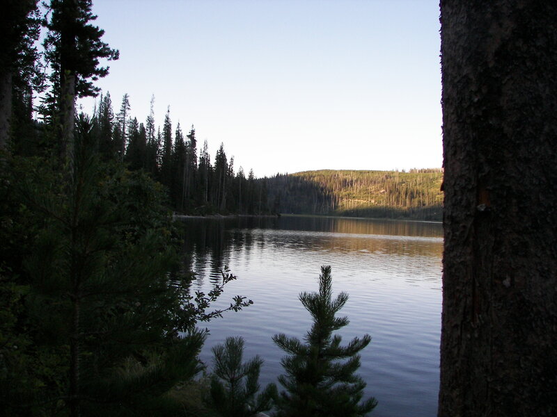 Pine Trees by Lake — Green, Serene, Sunset