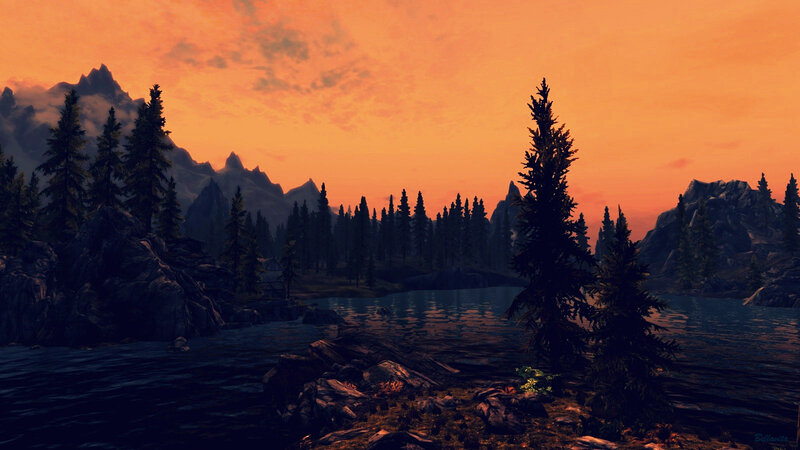 Pine Trees by Lake — Orange
