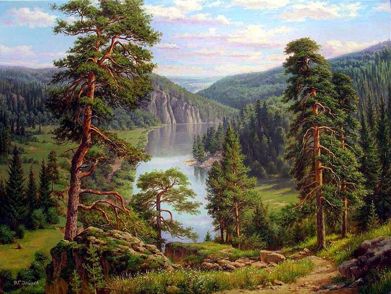 Pine Trees by River