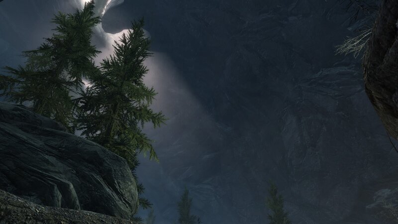 Pine Trees in Canyon — Gray