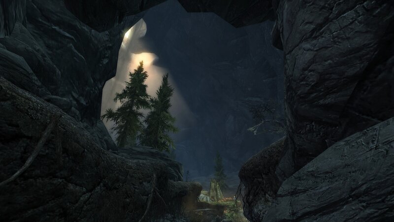 Pine Trees in Cave