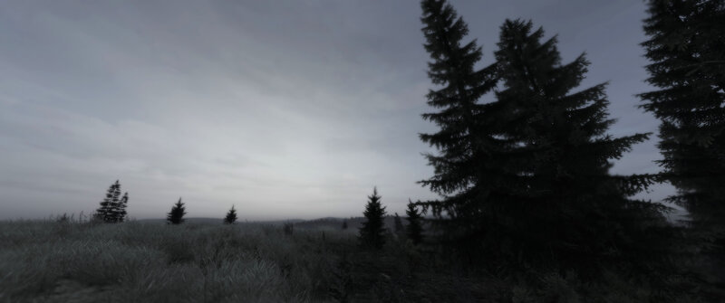Pine Trees in Field — Gray