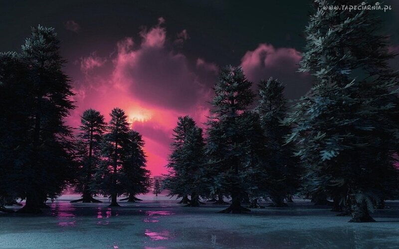 Pine Trees in Flooded Forest — Purple