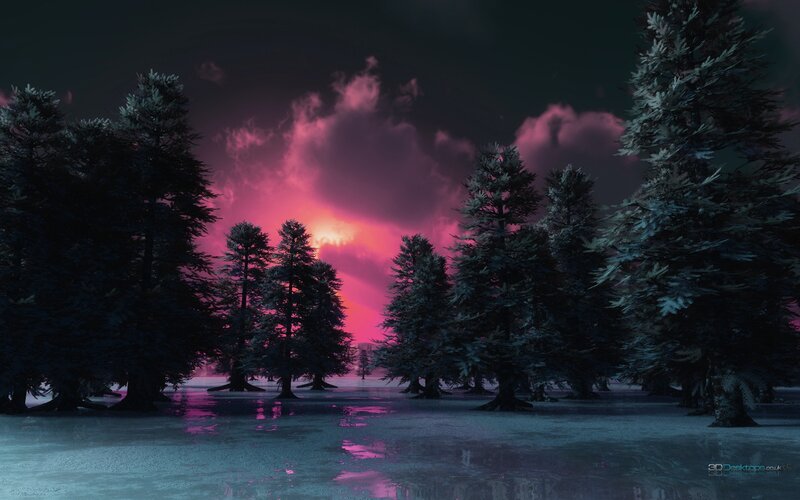 Pine Trees in Flooded Forest