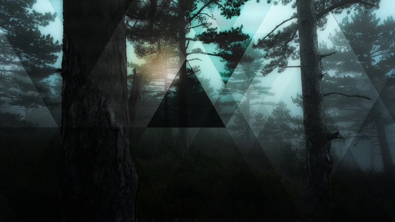 Pine Trees in Fog — Green, Mysterious