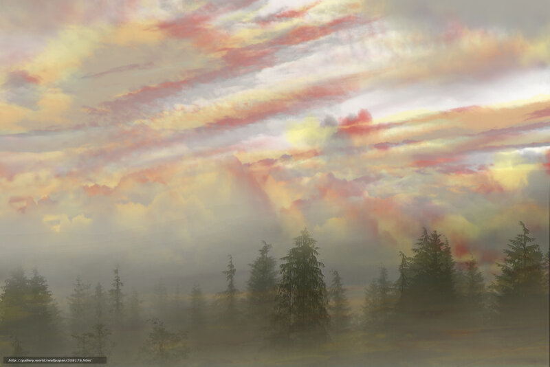 Pine Trees in Fog — Yellow