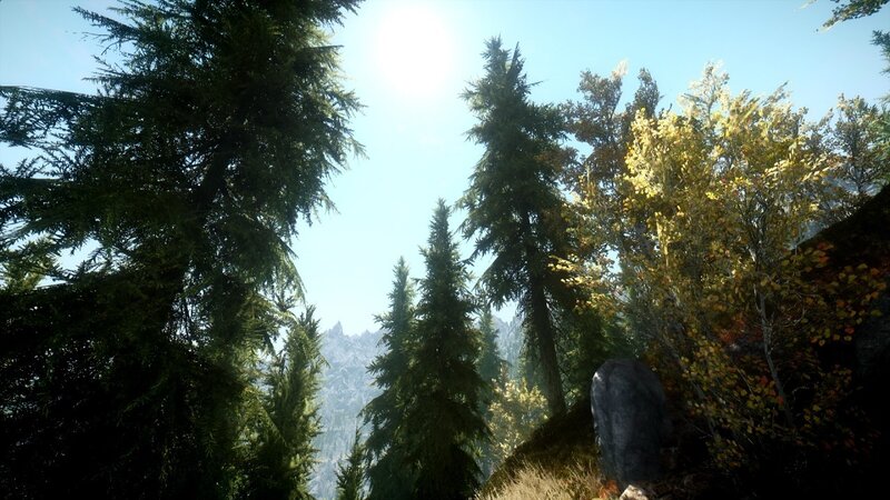Pine Trees in Forest — Green, Serene, Afternoon, 3d Render, Sun, Mountains