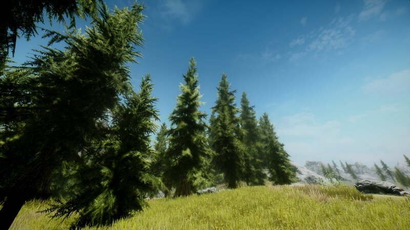 Pine Trees in Grassy Field — Green