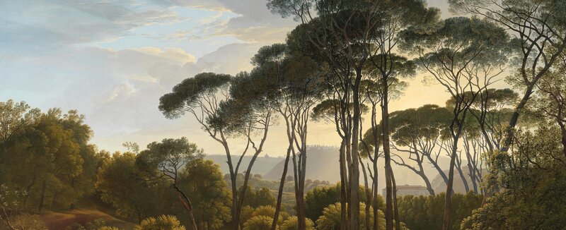 Pine Trees in Landscape