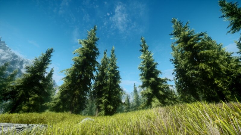 Pine Trees in Meadow — Green, Serene, Afternoon