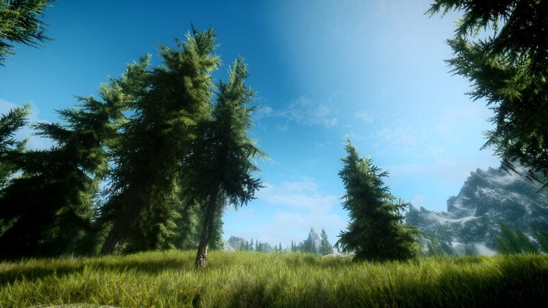 Pine Trees in Meadow — Green, Serene