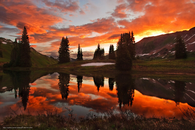 Pine Trees in Mountain Lake — Orange, Dramatic