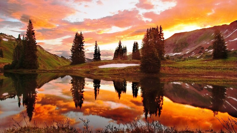 Pine Trees in Mountain Lake — Orange