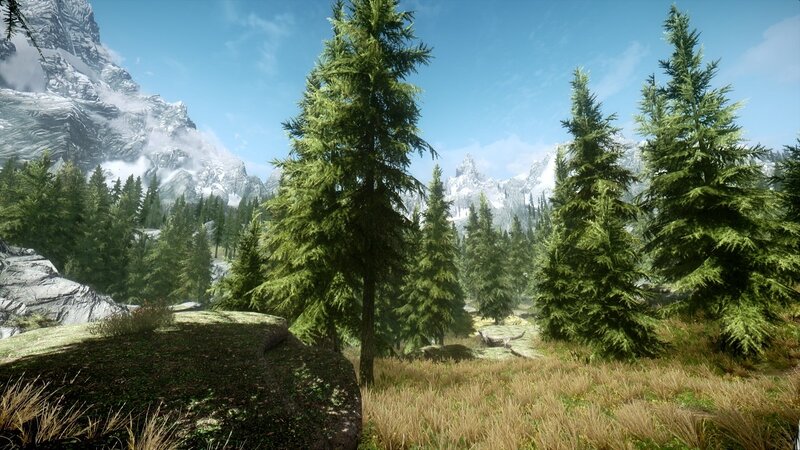 Pine Trees in Mountain Valley — Green, Serene, Afternoon, 3d Render, Mountains