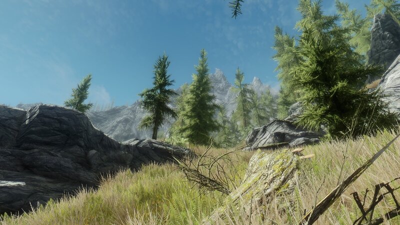 Pine Trees in Mountain Valley — Green, Serene, Afternoon, 3d Render
