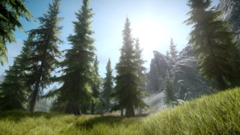 Pine Trees in Mountain Valley — Green, Serene, Afternoon