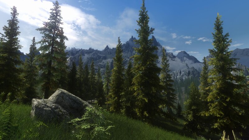 Pine Trees in Mountain Valley — Green, Serene