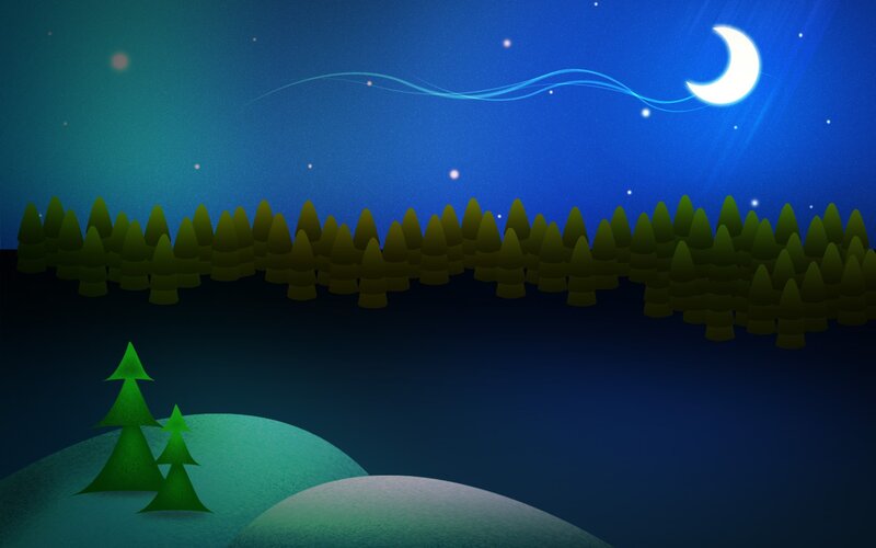 Pine Trees in Night Forest