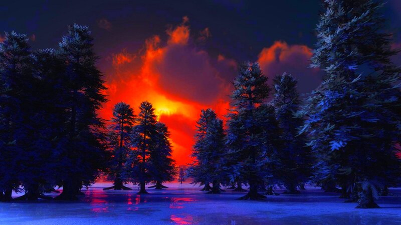 Pine Trees in Snow — Blue, Dramatic