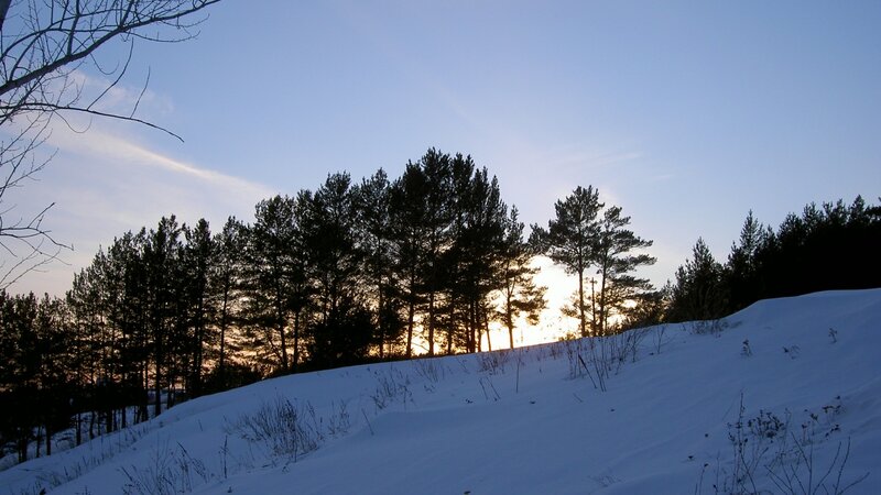 Pine Trees in Snow — Blue, Serene, Sunset, Photograph, Sky