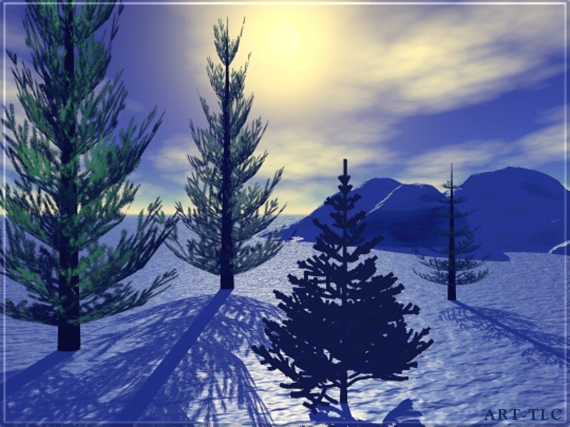 Pine Trees in Snow — Blue