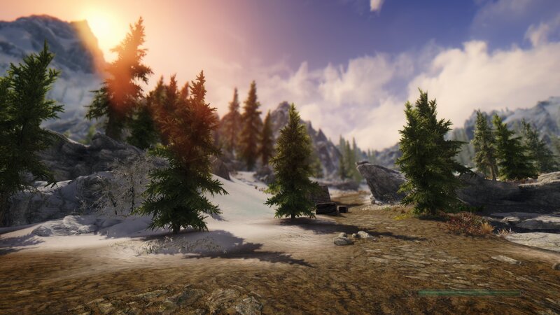 Pine Trees in Snowy Landscape