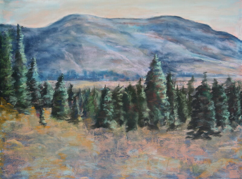 Pine Trees in Valley