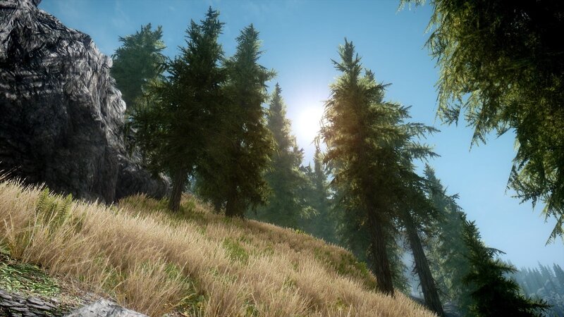 Pine Trees on Hillside — Green, Serene, Afternoon, 3d Render