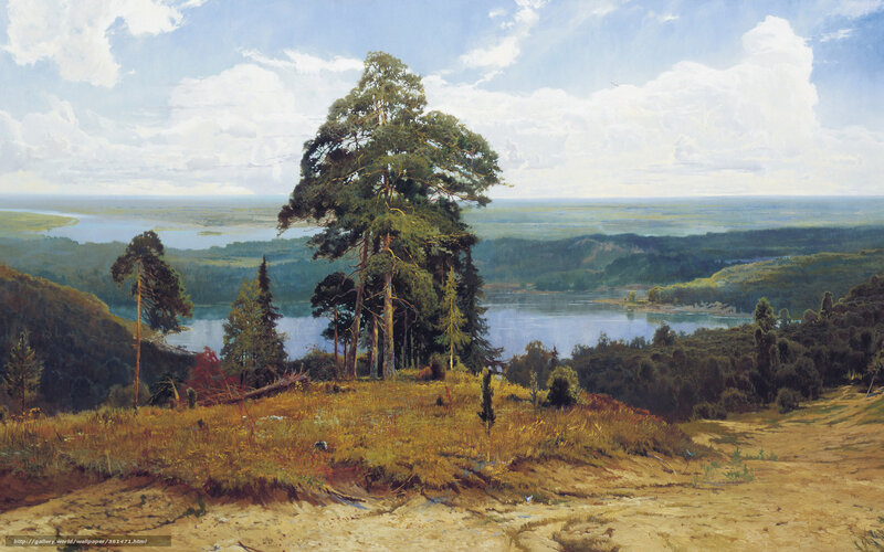 Pine Trees on Hillside — Green, Serene, Afternoon, Painting