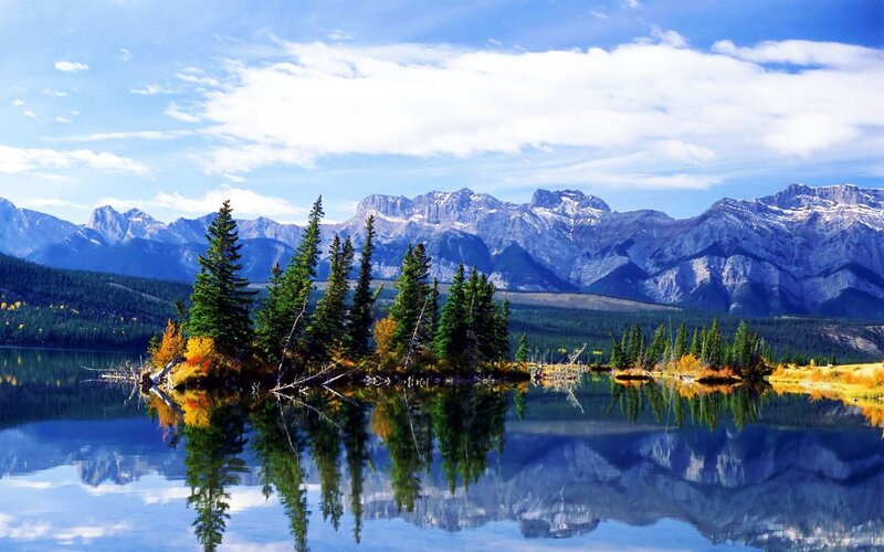 Pine Trees on Island — Blue, Serene, Afternoon, Photograph