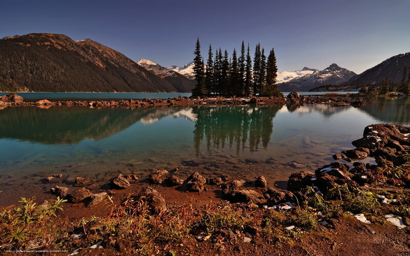 Pine Trees on Island — Blue, Serene, Morning