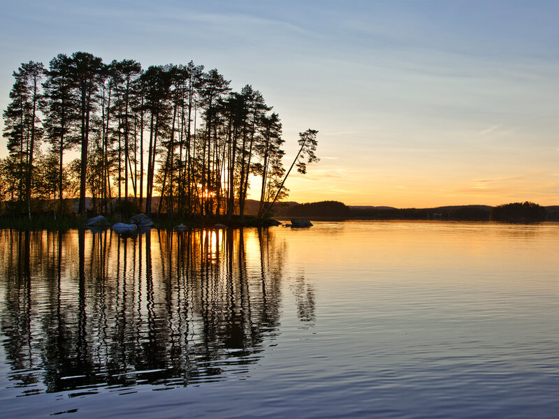 Pine Trees on Island — Blue, Serene, Sunset, Photograph