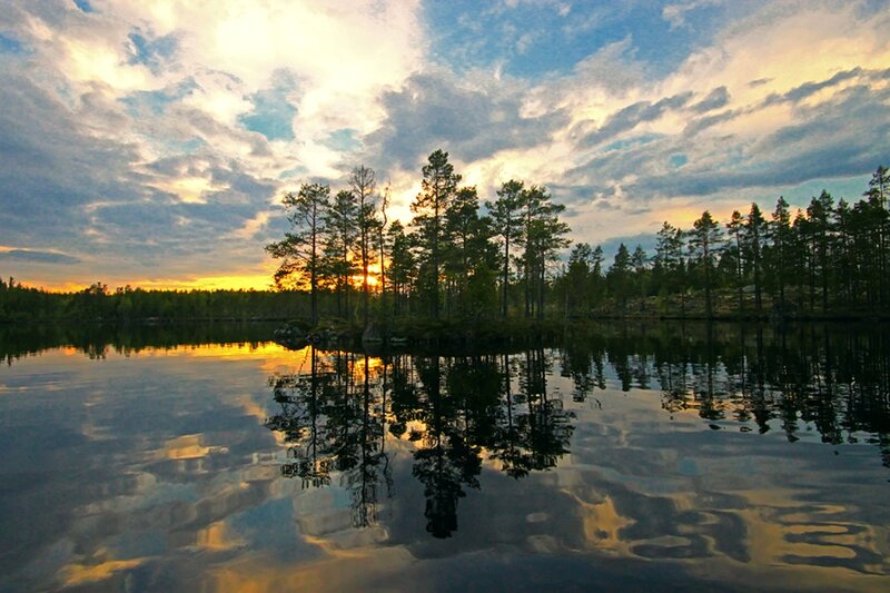 Pine Trees on Island — Blue, Serene, Sunset