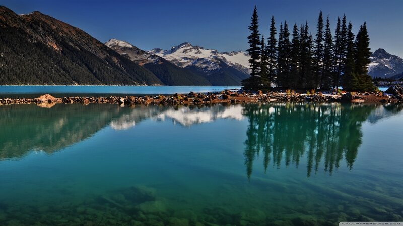 Pine Trees on Island — Blue, Serene