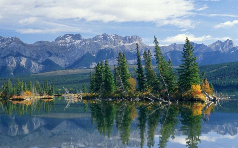 Pine Trees on Island — Green, Serene, Autumn