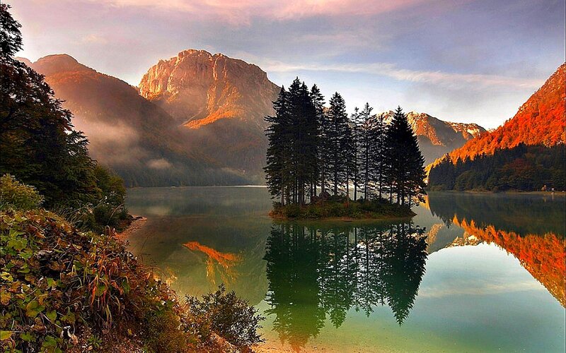 Pine Trees on Island — Green, Serene, Sunset, Photograph