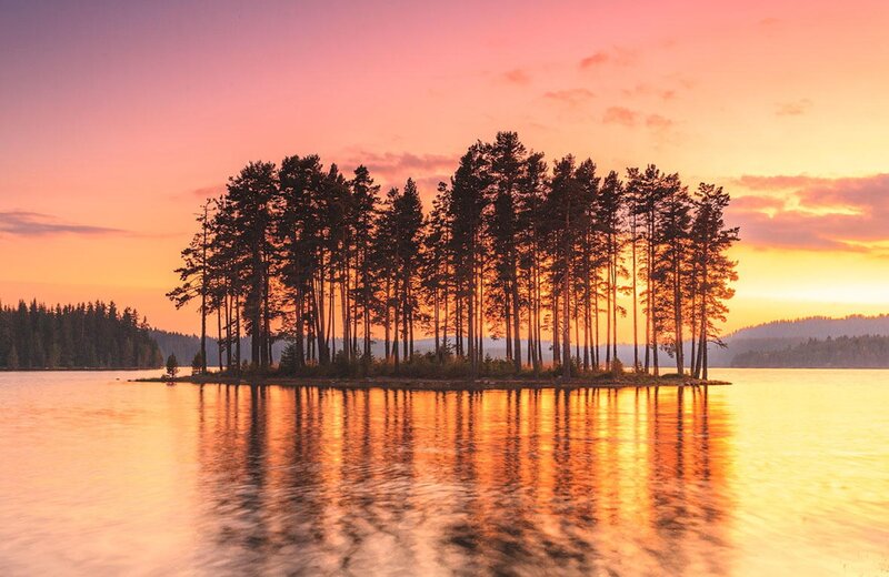 Pine Trees on Island — Orange, Serene, Sunset