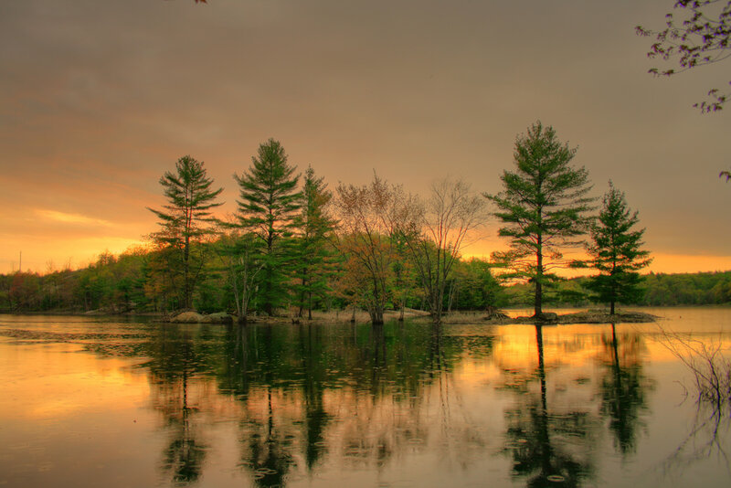 Pine Trees on Island — Orange, Serene