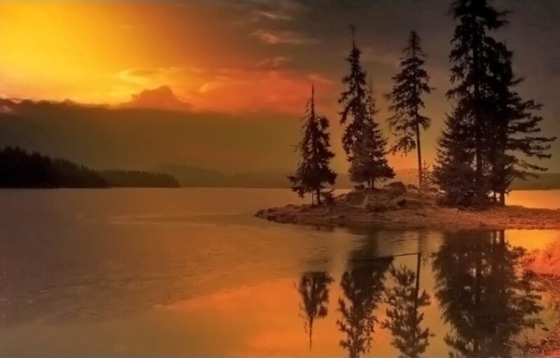 Pine Trees on Island — Orange
