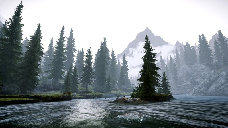 Pine Trees on Lake — Green