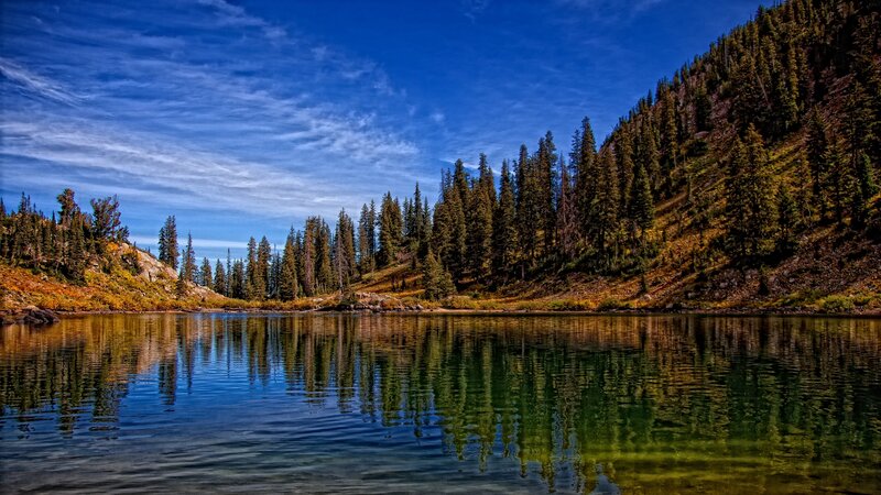 Pine Trees on Lake Shore — Blue, Serene, Afternoon