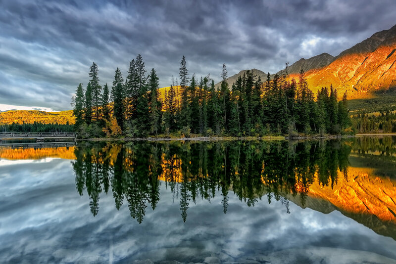 Pine Trees on Lake Shore — Green, Dramatic