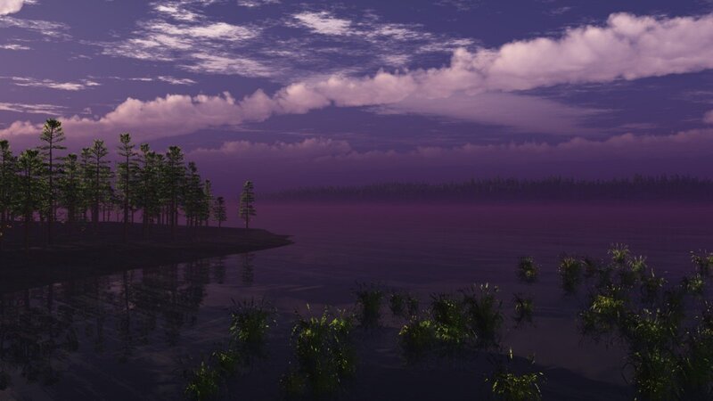 Pine Trees on Lake Shore — Purple