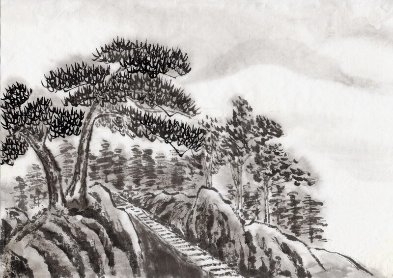 Pine Trees on Mountain Path