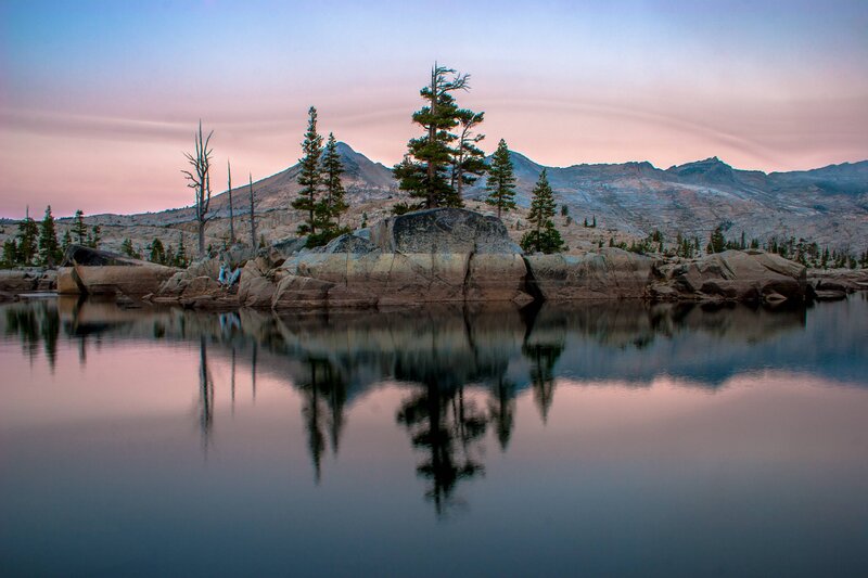 Pine Trees on Rock Island